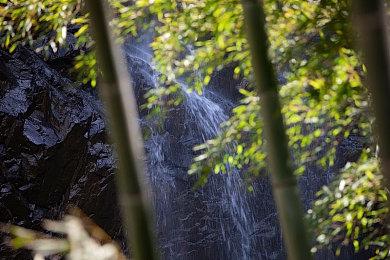 FPS新作《Selaco》新截图 融合《毁灭战士》要素